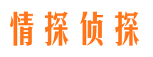 泰兴市私家侦探